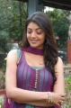 Kajal Latest Cute Stills Pics Photos