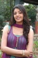 Kajal Latest Cute Stills Pics Photos