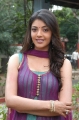 Kajal Latest Cute Stills Pics Photos