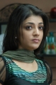 Kajal Latest Cute Stills Pics Photos