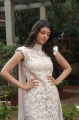 Kajal Latest Cute Stills Pics Photos