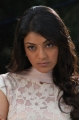 Kajal Latest Cute Stills Pics Photos