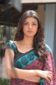 Beautiful Kajal Cute in Saree Stills