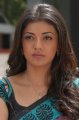 Kajal Cute Saree Pics