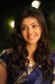 Cute  Kajal in Blue Saree Pics