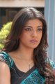 Kajal Cute Saree Pics