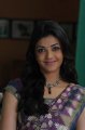 Beautiful Kajal Cute in Saree Stills