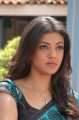 Actress Kajal in Saree Cute Images