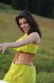 Actress Kajal Hot Images in Brindavanam