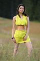 Brindavanam Actress Kajal Hot Images in Green Yellow Dress