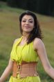 Actress Kajal Hot Images in Brindavanam