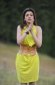 Actress Kajal Latest Hot Images