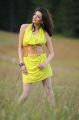 Brindavanam Actress Kajal Hot Images in Green Yellow Dress