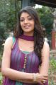 Telugu Actress Kajal Agarwal New Hot Pics