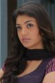 Actress Kajal Agarwal New Cute Pics in Mr Perfect Movie