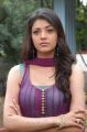 Actress Kajal Agarwal Cute Hot Pics in Mr Perfect