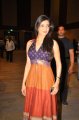 Kajal Telugu Actress Hot Pics