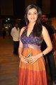 Telugu Actress Kajal Hot Photos