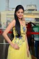 Actress Sanam Shetty @ Kalaivendhan Movie Audio Launch Stills