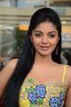 Actress Sanam Shetty @ Kalaivendhan Movie Audio Launch Stills