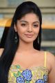 Actress Sanam Shetty @ Kalaivendhan Movie Audio Launch Stills