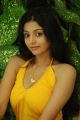 Actress Sanam Shetty in Kalaivendhan Movie Stills