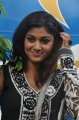 Actress Oviya at Kalakalappu Press Meet Stills