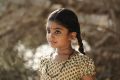 Kalathur Gramam Movie Stills