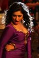 Actress Poonam Bajwa Kalavathi Movie Hot Photos