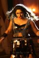 Actress Poonam Bajwa Kalavathi Movie Hot Photos