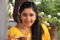 Kalavathi Movie Actress Poonam Bajwa Wallpapers