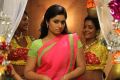 Aranmanai 2 Movie Heroine Poonam Bajwa Wallpapers