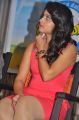 Actress Dimple Chopade @ Kalkandu Movie Press Meet Stills