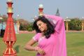 Actress Dimple Chopade in Kalkandu Tamil Movie Stills