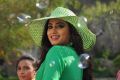 Actress Dimple Chopra in Kalkandu Tamil Movie Stills