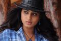 Actress Dimple Chopra in Kalkandu Tamil Movie Stills