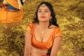 Actress Jothisha Hot Stills in Kallapetty Tamil Movie