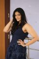 Actress Kalpika Ganesh Stills @ My Dear Marthandam Press Meet