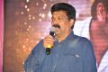 Kalyana Vaibhogame Movie Audio Launch Stills