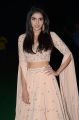Actress Kalyani Priyadarshan Photos @ HELLO Pre Release