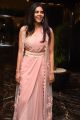 Actress Kalyani Priyadarshan Pictures @ Ranarangam Movie Pre Release