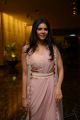 Actress Kalyani Priyadarshan Pictures @ Ranarangam Pre Release