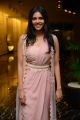 Actress Kalyani Priyadarshan Pictures @ Ranarangam Movie Pre Release