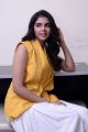 Ranarangam Movie Actress Kalyani Priyadarshan Interview Pics