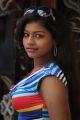 Tamil Actress Kamali Hot Stills at Kandanam Movie Launch