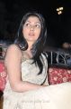 Actres Kamalini Mukerjee Latest Photos in Saree