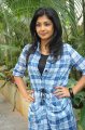 Kamalini Mukherjee Latest Photos