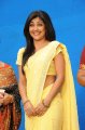 Kamalini Mukherjee in Saree Gallery