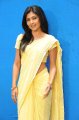 Kamalini Mukherjee in Saree Gallery