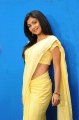 Kamalini Mukherjee in Saree Gallery